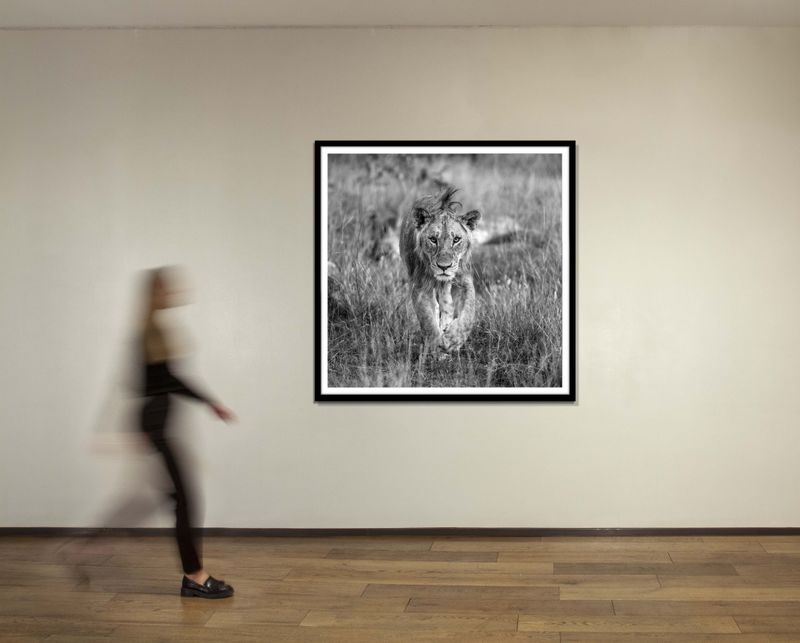 60 x 60 in., edition of 15